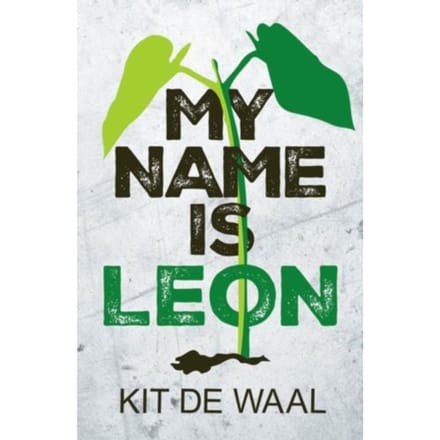 Rollercoasters: My Name Is Leon - de Waal