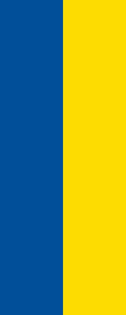 Vlag Tuttlingen 100x150cm