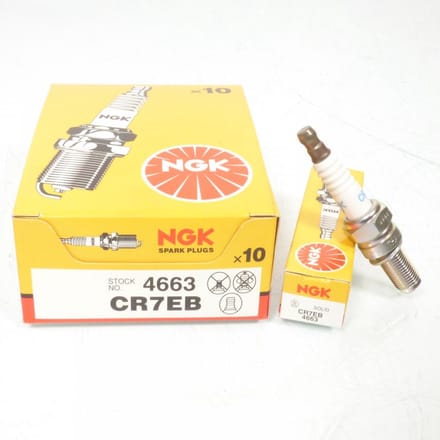 Bougie NGK voor Motor Beta 250 REV 3 vanaf 2008 Nieuw