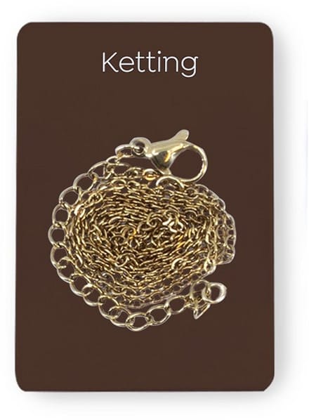 Gouden Charm - Ketting