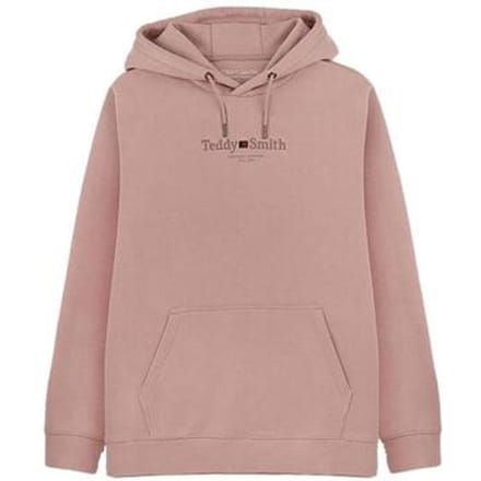 Capuchon sweaters Teddy Smith Jim
