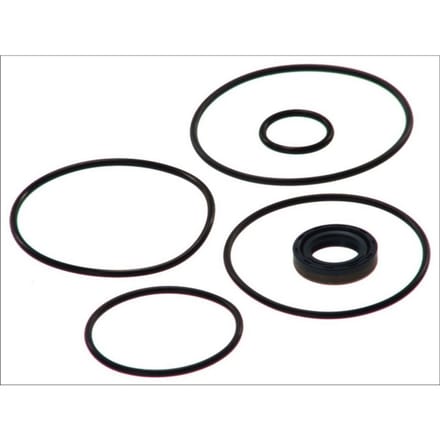 Hydraulische pomp, stuurinrichting DT Spare Parts 4.90064