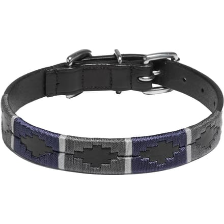 Hondenhalsband Kieffer Buenos Aires With Chrome Fittings