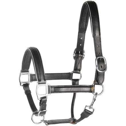 Harrys Horse Halster Leder - Zwart - Met Bies Zilver Cob