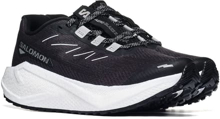 Sportieve Salomon AERO BLAZE 3 GRVL W 40 Dames