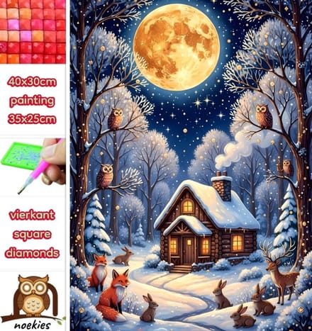 40x30cm Diamond Painting sneeuwhuis dieren (vierkant) nr 200