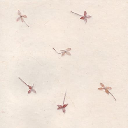 Set van 25 vel Tree Free Gampi papier A4 met oranje bloemen, 90 grs, schepranden