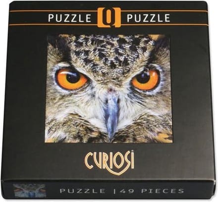 Curiosi Q-puzzel (moeilijke stukjes) - Dier - Uil (66 stukjes)