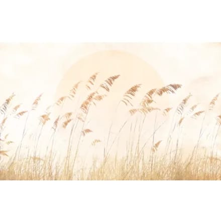 Fotobehang - Dune Grass 400x250cm - Vliesbehang