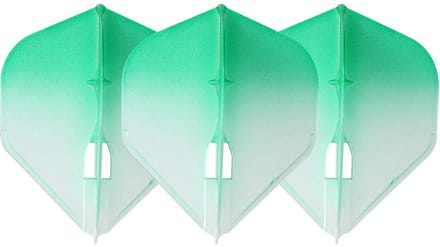L-Style Champagne L1 Standard 2-Tone CWH×Green - Dart Flights