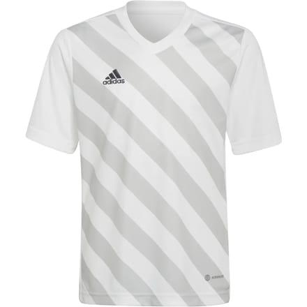 adidas - Entrada 22 GFX Jersey Youth - Gestreepte Jersey-128