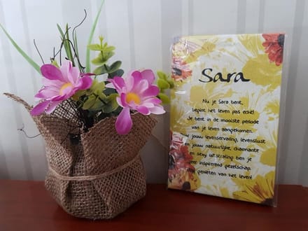 Sara, Tekst canvas
