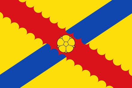 Vlag Hensies 100x150cm
