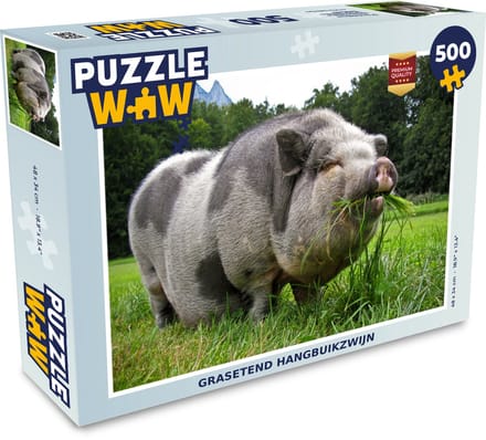 Puzzel Hangbuikzwijn - Gras - Dieren - Legpuzzel - Puzzel 500 stukjes