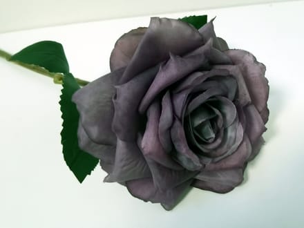 Roos - Decoratie - Bloemtak - Kunststof - Paars - 30cm - Pure