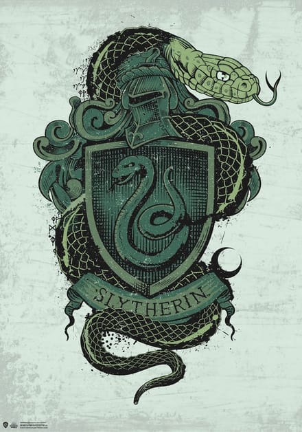Harry Potter Slytherin-poster 1, veelkleurig