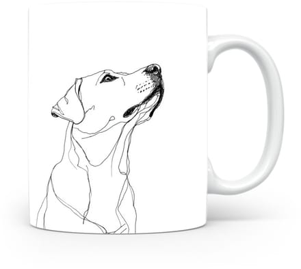 Beker Labrador Retriever