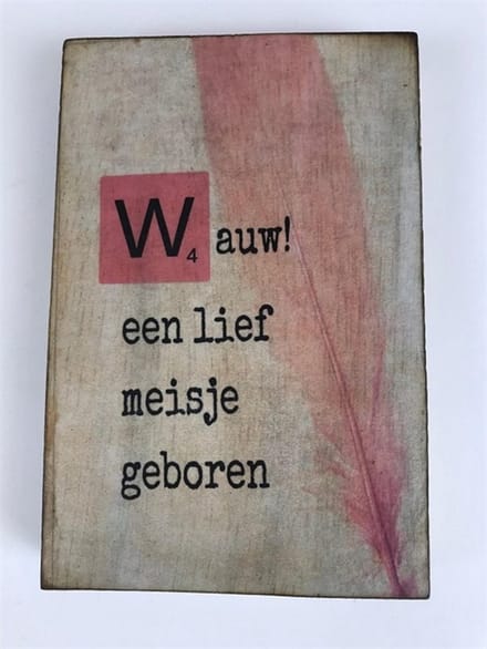Tekstblok 10x15 2 cm dik W Wauw meisje