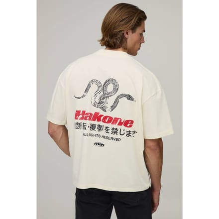 Ecru Oversized Boxy T-shirt Met Hakone Print | Size Medium