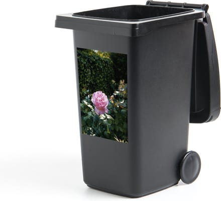 Container sticker Roos - Roze - Tuin - 40x60 cm - Kliko sticker