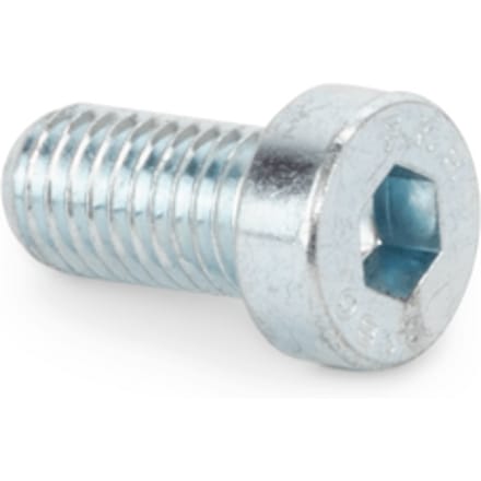 Screw