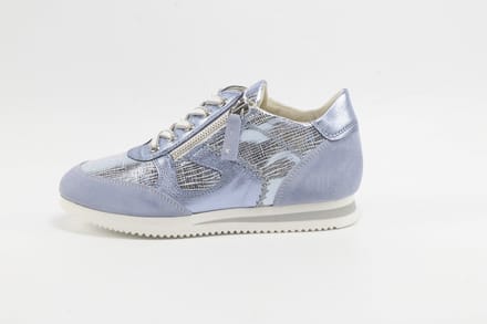 DLSport 6564 versione 09 velour illusion ancona celeste L.BLAUW