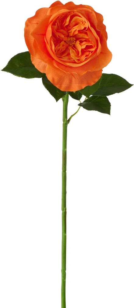 J-Line roos Echt Gevoel - kunststof - oranje - 4 stuks