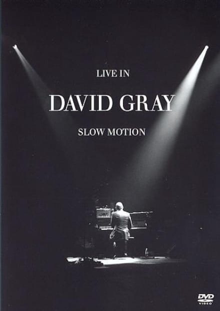David Gray - Live In Slow Motion