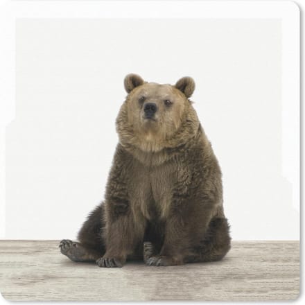 Muismat 20x20 cm - Mousepad Beer - Grizzly - Dieren - Muismatten
