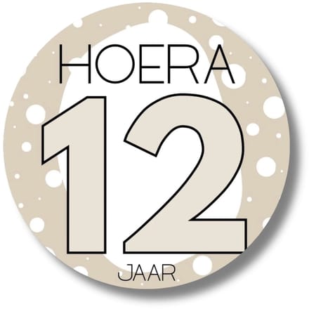Sticker Hoera 12 jaar | Stickervel verjaardag kind groep 8 | Set van 20
