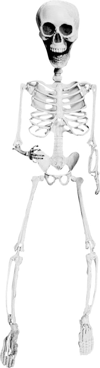 Fjesta© Halloween hangdecoratie skelet - 70cm