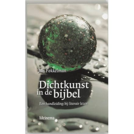 Dichtkunst In De Bijbel - J. Fokkelman