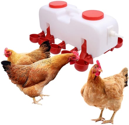 Dailygoods- Kippenwaterbak Automatisch - Hygiënisch Systeem
