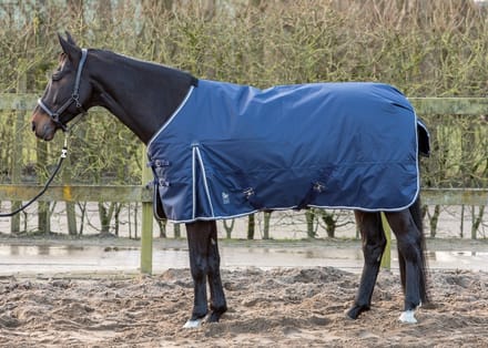 Buitendeken Thor 100gr Black Iris - maat 215
