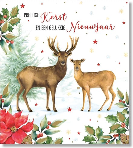 Lannoo - 16 Dubbele Kerst/Nieuwjaarskaarten - Witte envelop - 12 x 13,3 cm