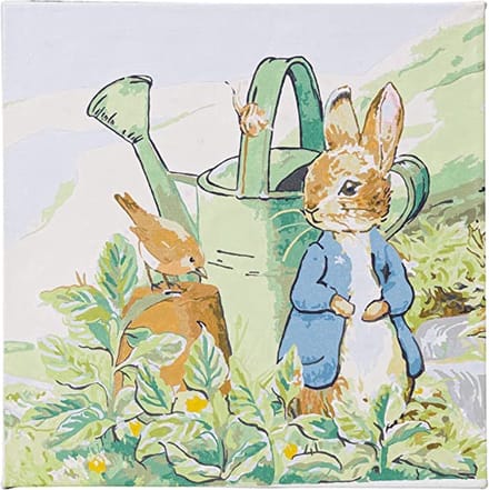 Schilderen op nummer Peter Rabbit and Robin (30x30cm) Craft Budd