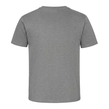 Russell Heren Zwaargewicht T-Shirt (Sport Heide)