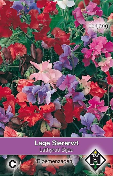 2 stuks Van Hemert & Co Lathyrus odoratus Bijou