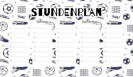 Wallvy - Magnetisch Lesplan - 45x26cm - Voetbalontwerp