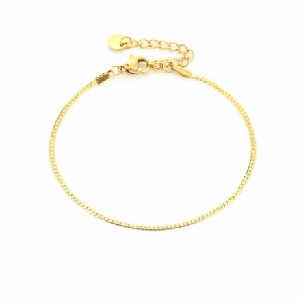 Bijoutheek Armband (Sieraad) Glad (2mm) Goud