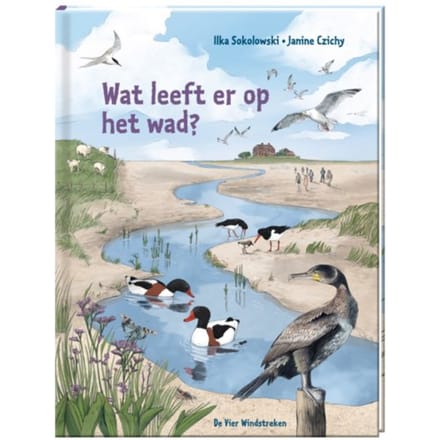Wat Leeft Er Op Het Wad? - Ilka Sokolowski
