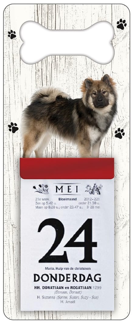 Scheurkalender 2024 Hond: Eurasier