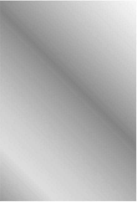 ALONI MIKARO toiletspeigel – met lijst – 40x60x1,9 cm – Licht eiken