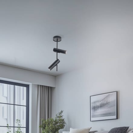 SIGMA Plafondspot Leda 2, antraciet, 2-lamps, staal, hoogte 55 cm