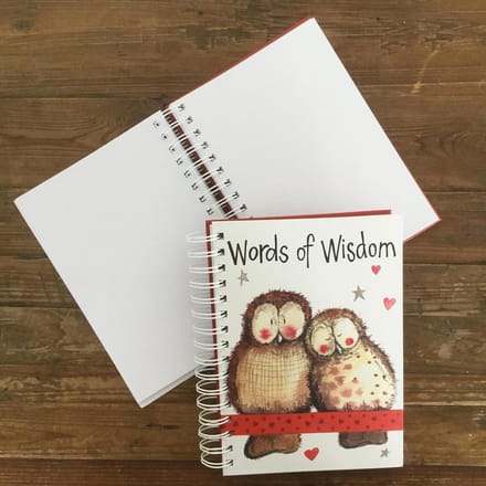 Alex Clark Spiral Journal Owls ~ A5 Notitieboek Ringband Uilen