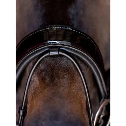 Combinatie paardenneusriem PS of Sweden