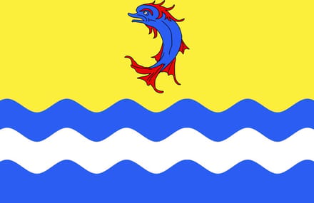 Vlag Essonne 150x225cm