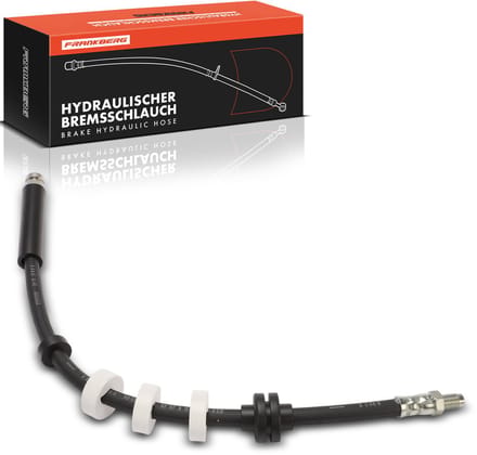 Frankberg 1x remslang voor L/R Fiat Seicento 600