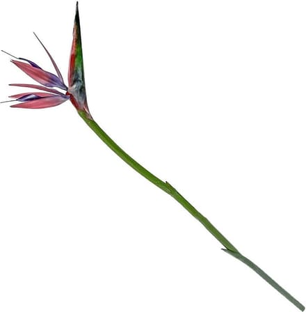 HomeBound by KY | Kunstbloem Strelitzia roze | kunstbloem