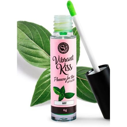 Secret Play Vibrant Kiss - Lip Gloss